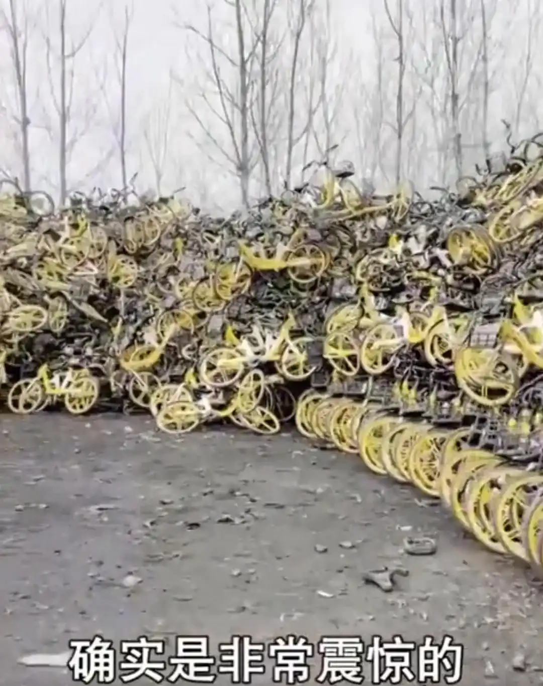 共享单车盗窃案_男子偷上万辆共享单车 每辆卖105元_央视曝光共享单车盗窃团伙