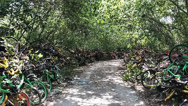 江宁开发区共享单车乱堆放_南京静龙山单车墓道_男子偷上万辆共享单车 每辆卖105元
