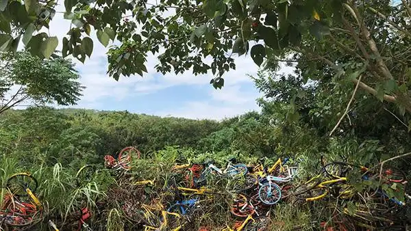 江宁开发区共享单车乱堆放_男子偷上万辆共享单车 每辆卖105元_南京静龙山单车墓道