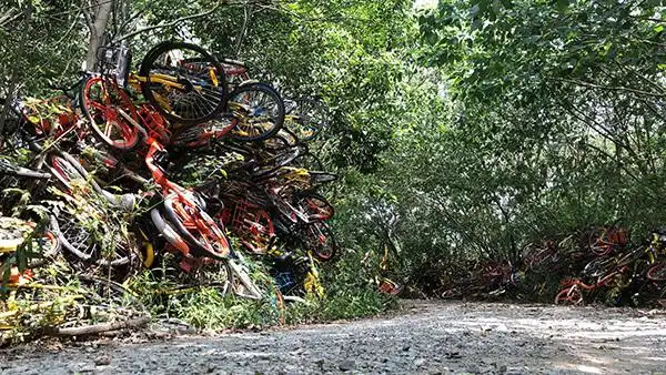 男子偷上万辆共享单车 每辆卖105元_江宁开发区共享单车乱堆放_南京静龙山单车墓道