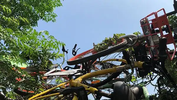 南京静龙山单车墓道_男子偷上万辆共享单车 每辆卖105元_江宁开发区共享单车乱堆放