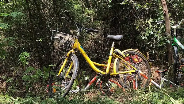 南京静龙山单车墓道_江宁开发区共享单车乱堆放_男子偷上万辆共享单车 每辆卖105元