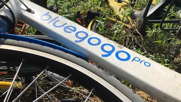 江宁开发区共享单车乱堆放_南京静龙山单车墓道_男子偷上万辆共享单车 每辆卖105元