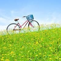 运行组策略及程序时提示没有权限