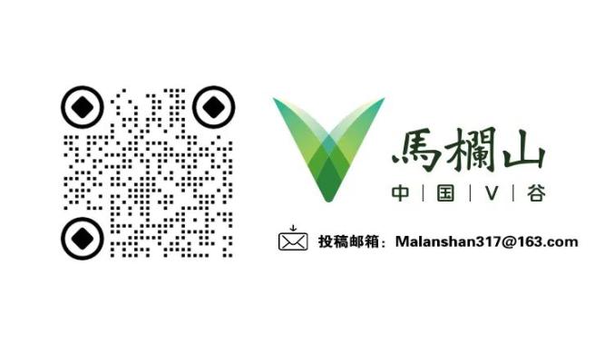 马栏山园区企业融资培训_马栏山马驹计划申报_新媒体商业计划书