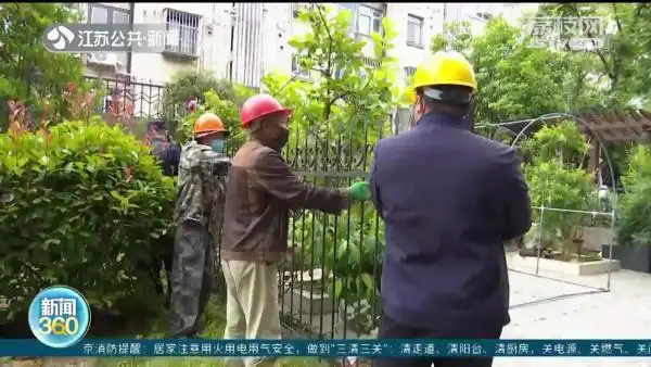 南京一公园被私人占有十年_小区公共绿地侵占_一楼业主私家庭院纠纷