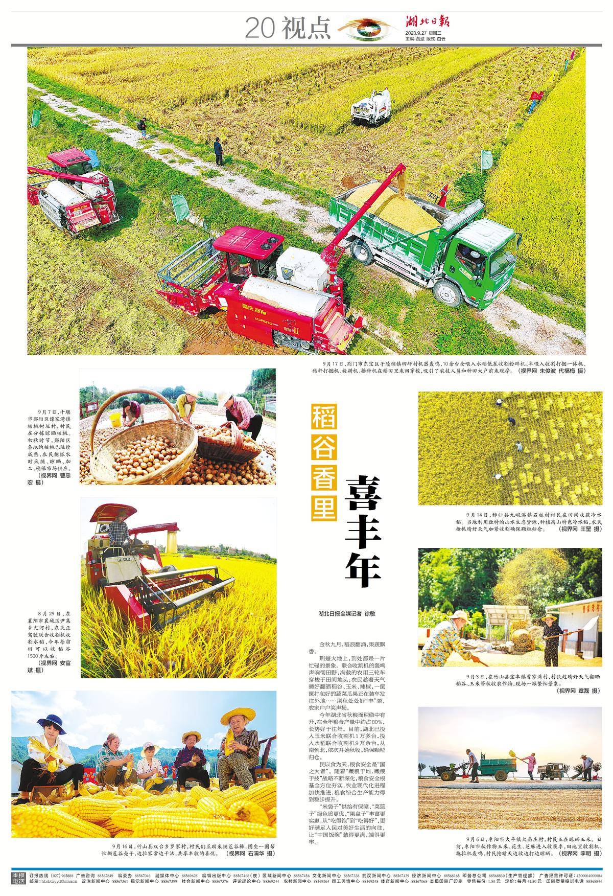 湖北秋粮丰收景象_湖北 今日视点_湖北农业现代化进程