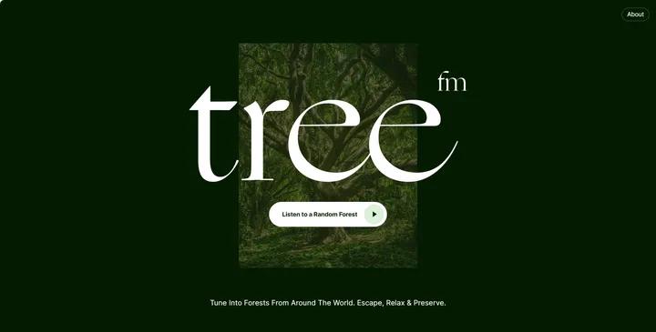 小众宝藏APP推荐_免费自助音乐网站申请_实用多功能修图软件