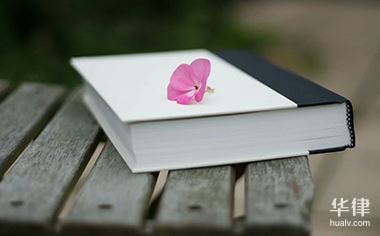 上访属于什么权利