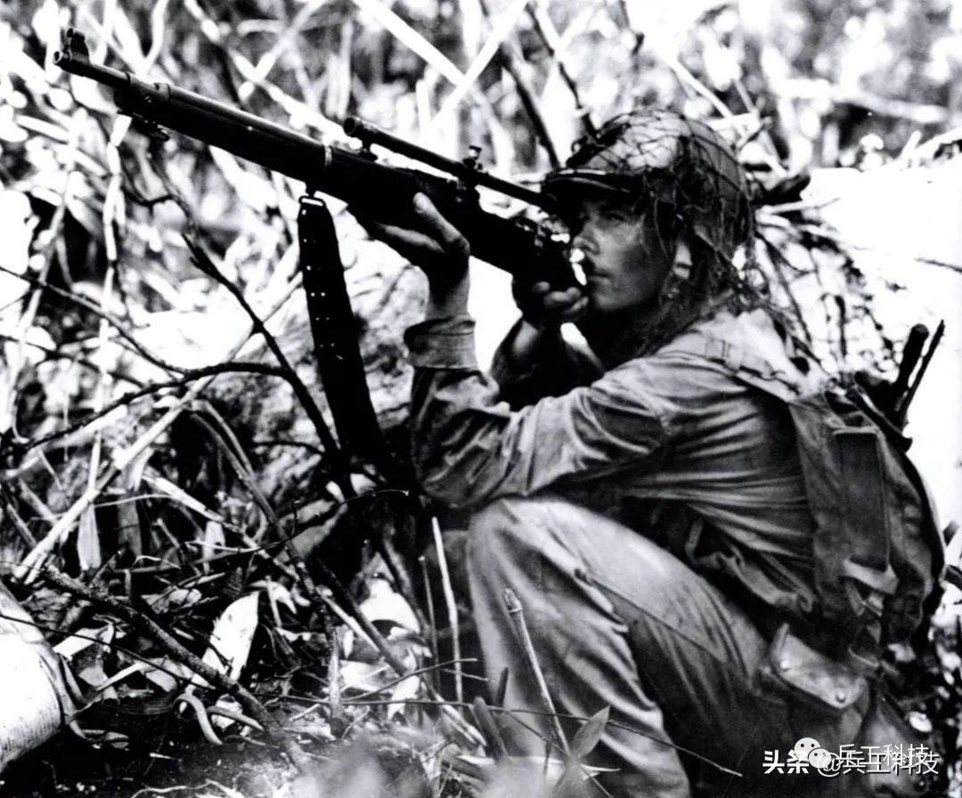 二战的狙击枪_M1903春田栓式步枪二战用途_M1加兰德与春田步枪对比
