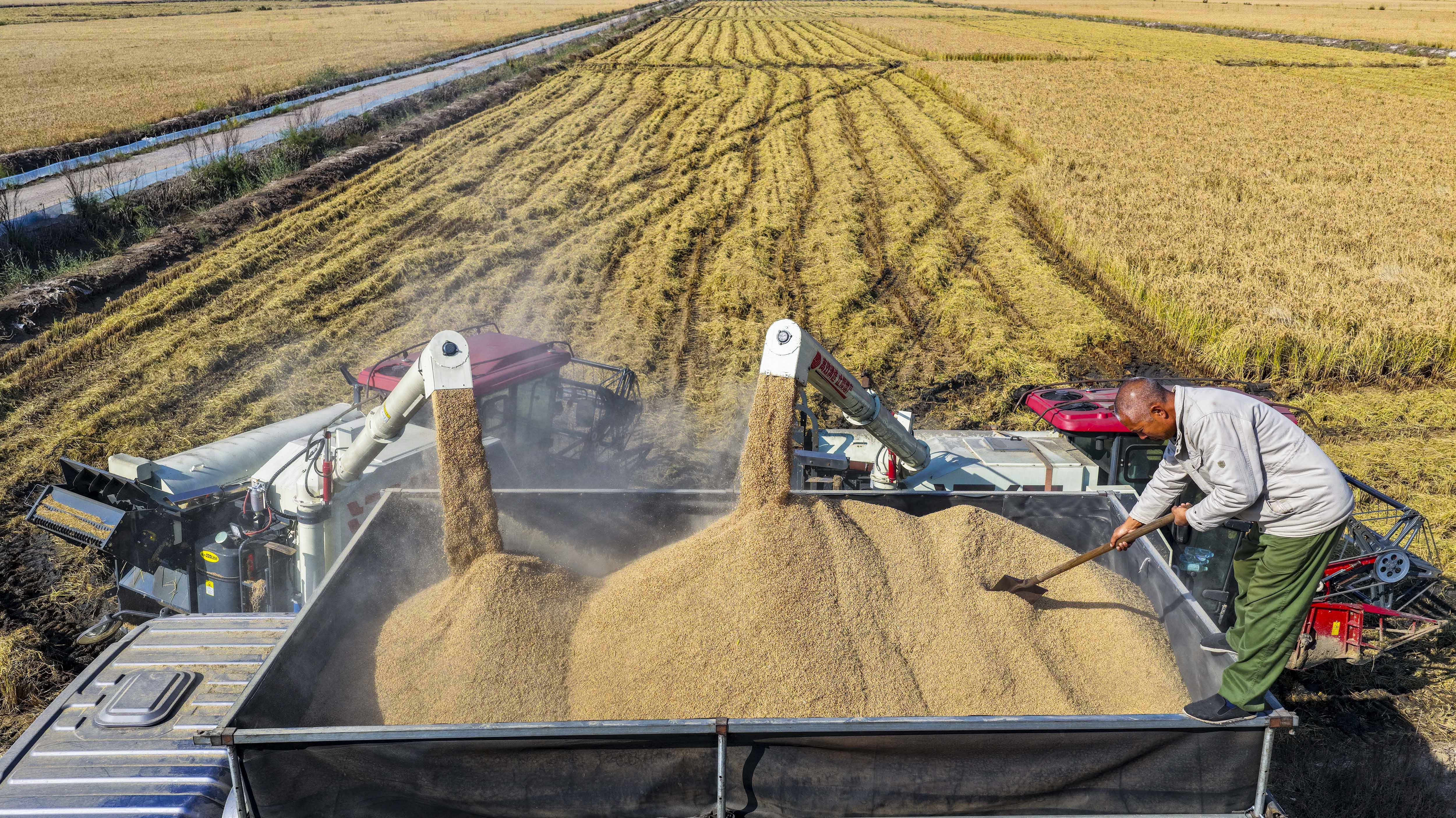 权威解读｜从10月数据看中国经济增长点