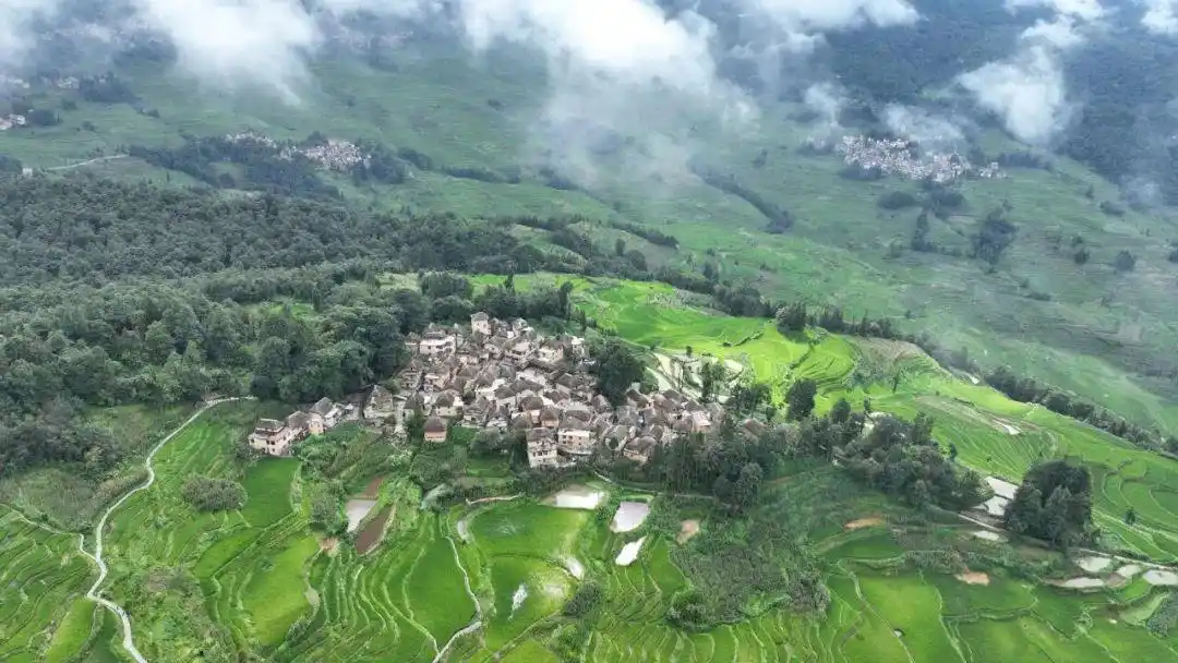 “宝藏小城”的“长红密码”→