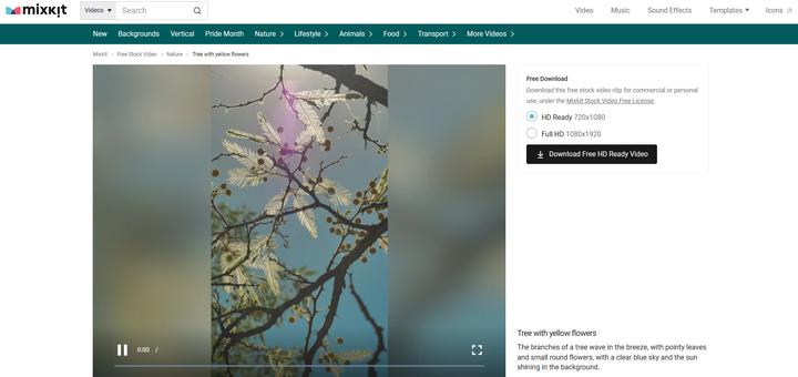 无版权视频素材网站_免费下载网页视频工具_迅雷下载无版权解决方法