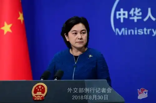 日官员抗议“记者在华采访被拒”,中方驳斥并还原事实真相