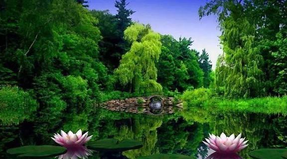 姨妈的后现代生活 女性命运反思 上海女性生活困境_姨妈的后现代生活 迅雷下载