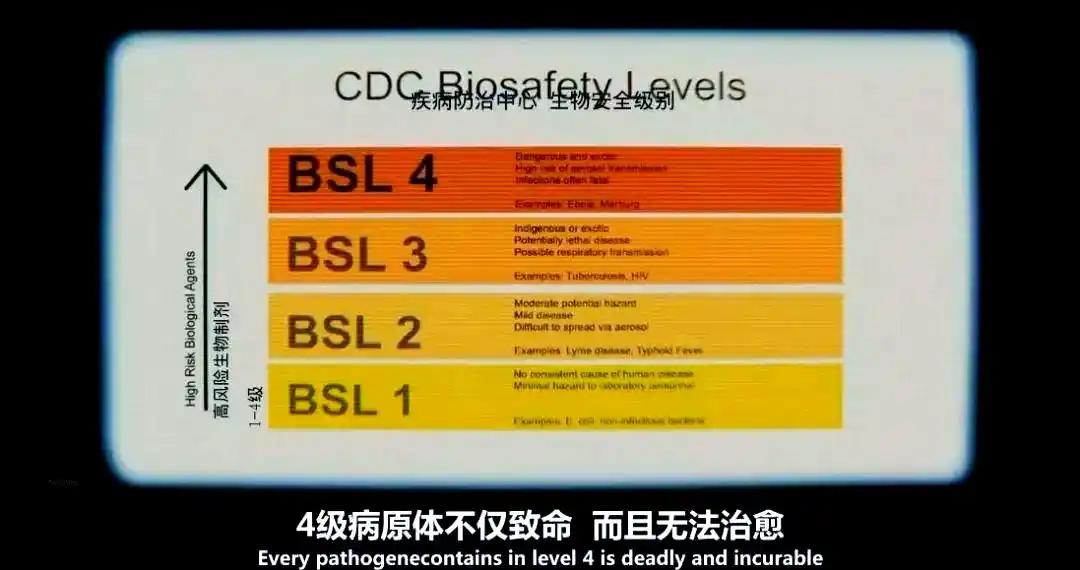 埃博拉病毒时事评论_埃博拉病毒简介与传播_西非埃博拉疫情爆发