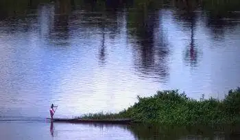 埃博拉病毒时事评论_刚果埃博拉疫情最新进展_埃博拉病毒自然宿主蝙蝠研究