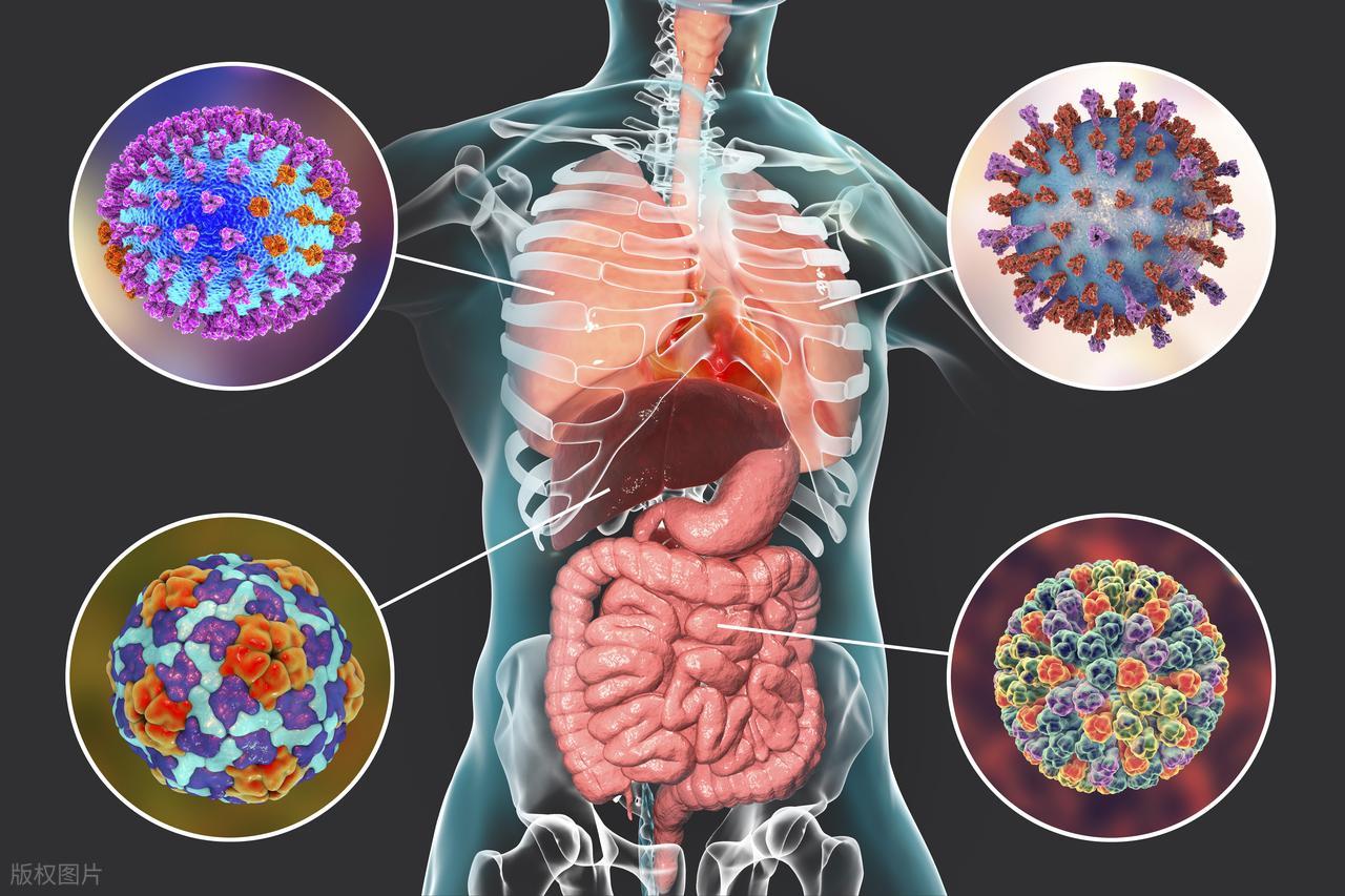 脾肾阳虚腹泻型肠易激综合征 参倍固肠胶囊 中医调理慢性腹泻_急性拉肚子吃什么好的最快