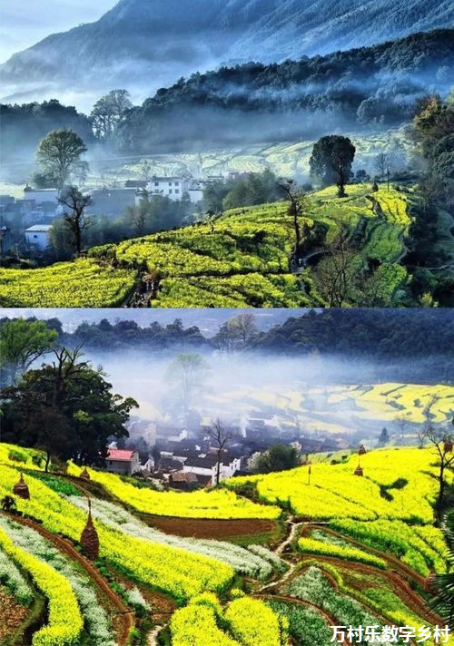 产业链延伸助力乡村产业振兴:策略、技术与市场开拓