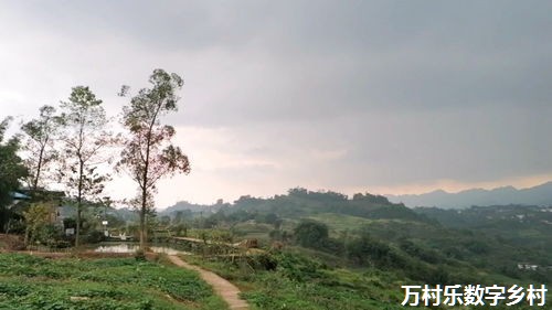 产业链延伸助力乡村产业振兴:策略、技术与市场开拓