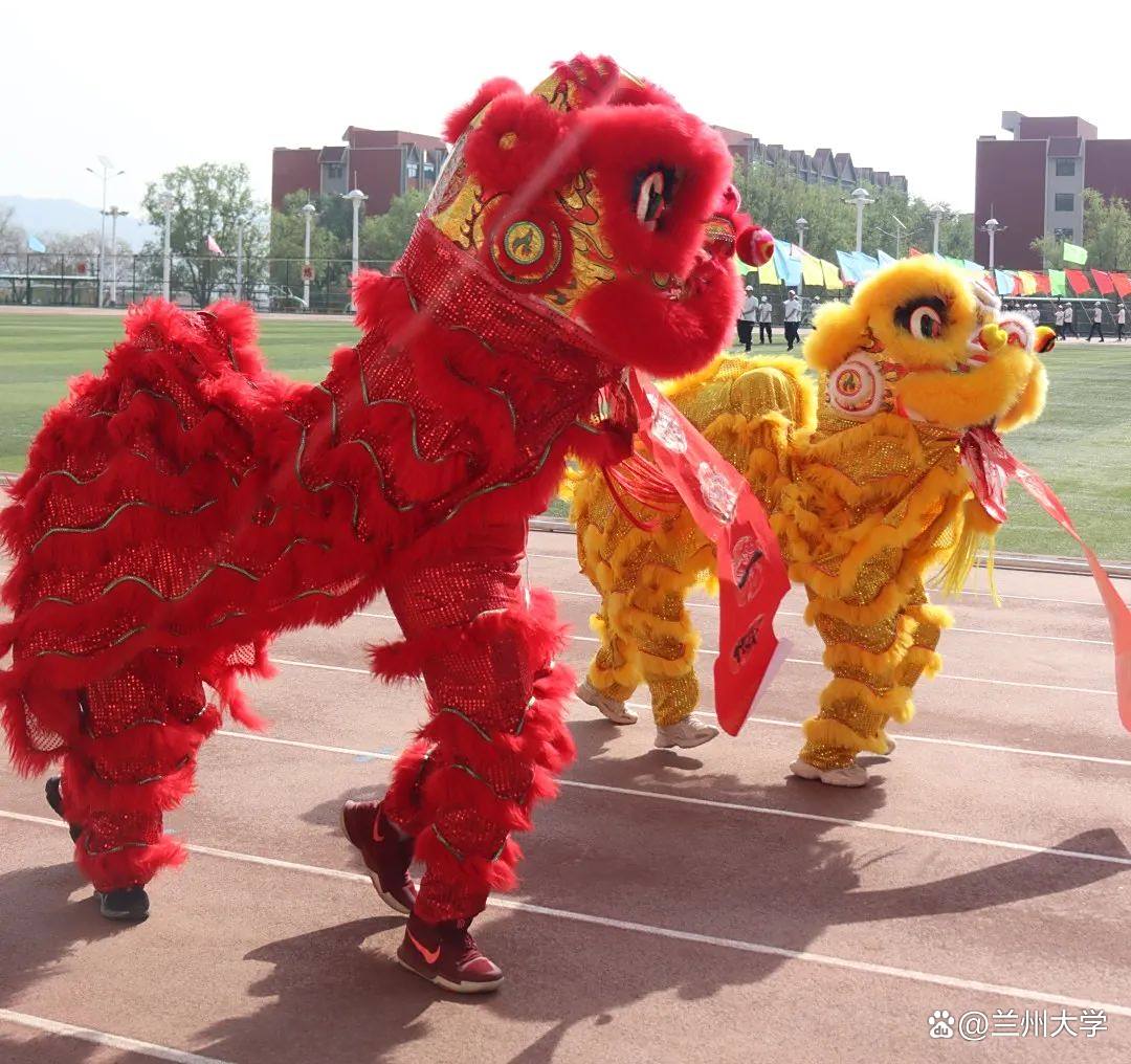 校运会总结推文_展示者人格特点_运动会人格类型