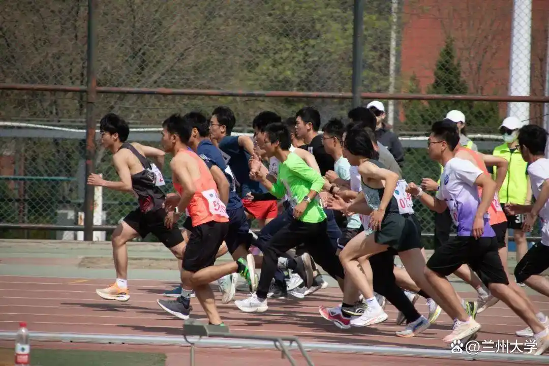 运动会人格类型_展示者人格特点_校运会总结推文