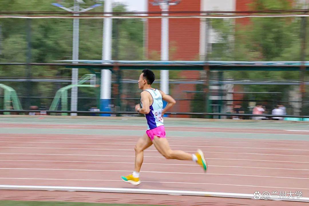 展示者人格特点_运动会人格类型_校运会总结推文