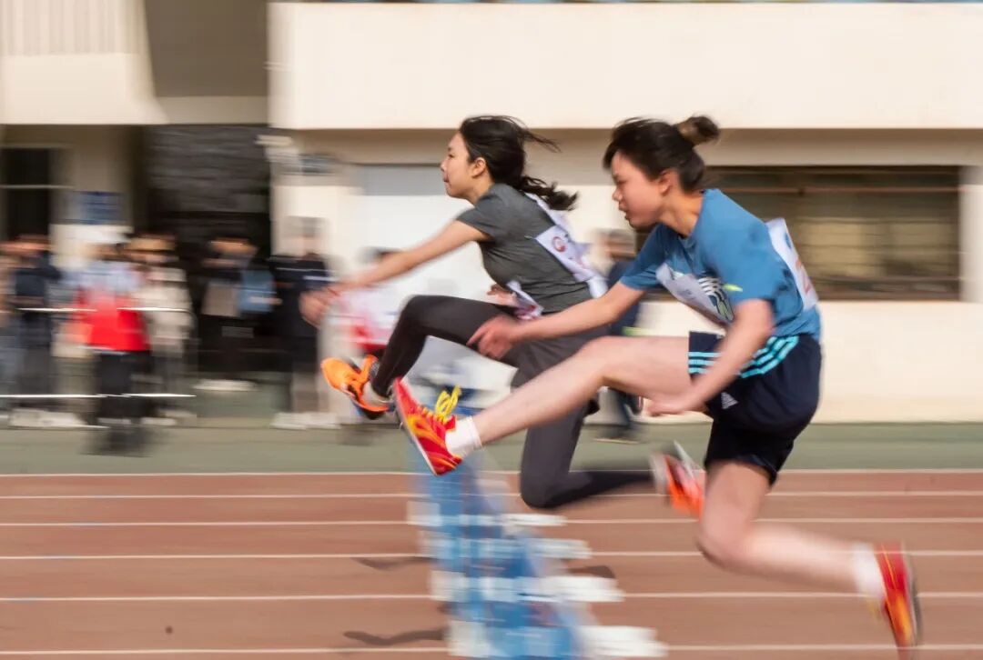 展示者人格特点_运动会人格类型_校运会总结推文