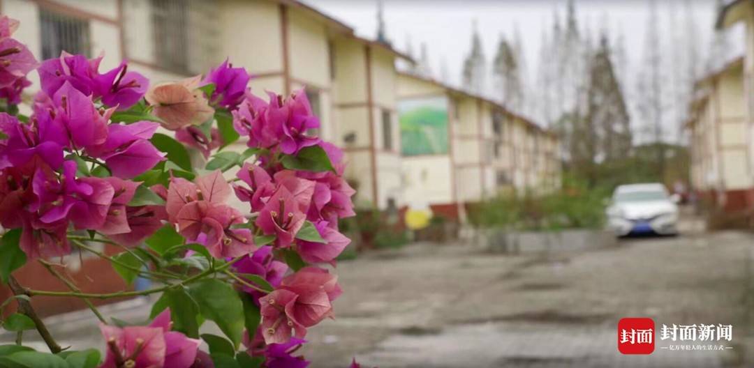 大棚女“村官”杨媚：从大山里走出，回到农村带领村民致富丨我这十年