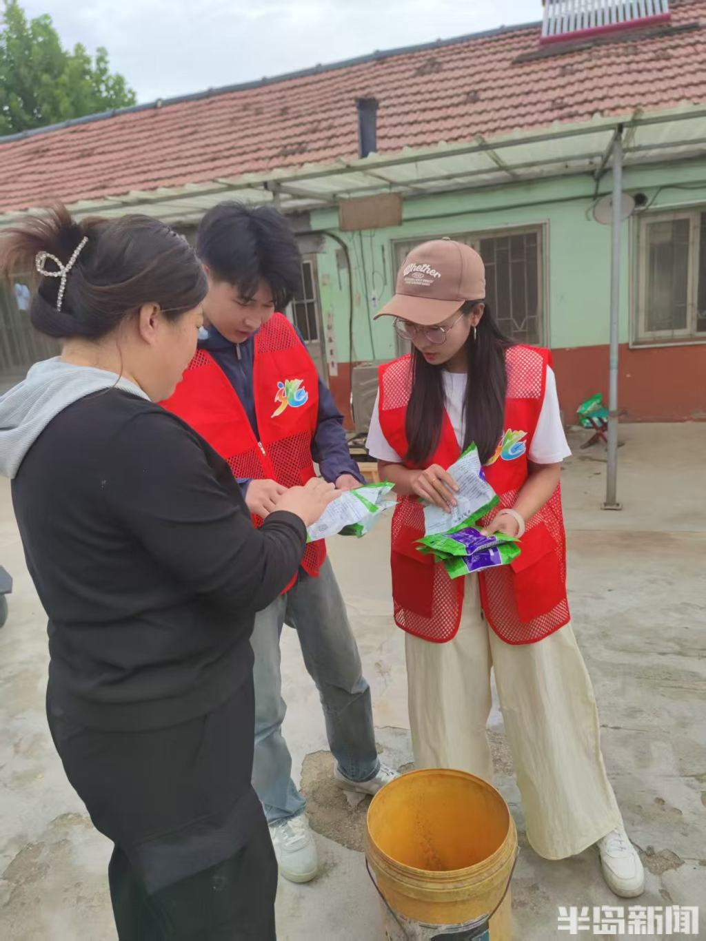青岛西海岸新区雏雁星火计划_返乡大学生担任村官_女大学生村官那些事