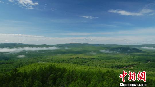 汗马国家级自然保护区：全球生态系统的“样板图”