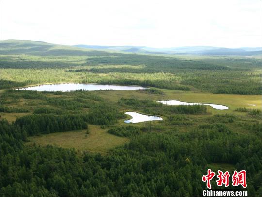 汗马国家级自然保护区_汗马_内蒙古大兴安岭原始森林