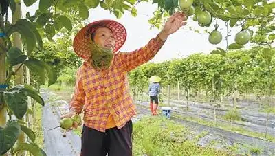 健全国家公共服务制度_民生福祉达到新水平_实施就业优先战略