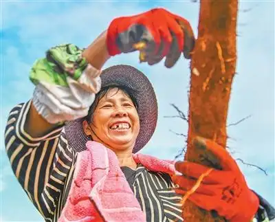 健全国家公共服务制度_民生福祉达到新水平_实施就业优先战略