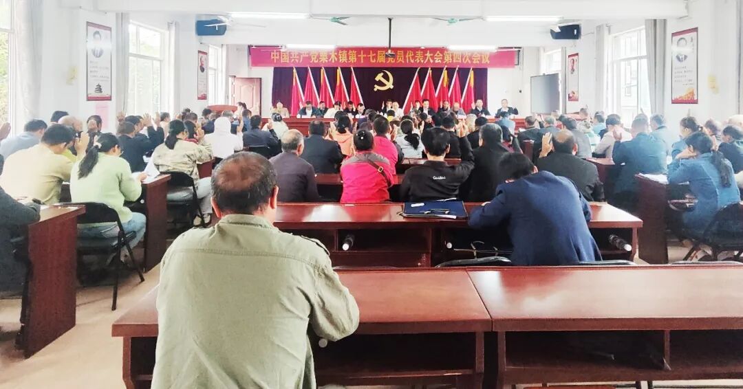 中共观音乡委员会工作报告_党员大会新闻稿_中国共产党观音乡第十七届党员代表大会第四次会议胜利召开