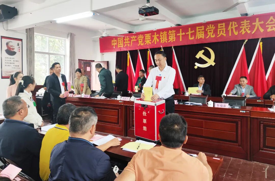 中国共产党观音乡第十七届党员代表大会第四次会议胜利召开_中共观音乡委员会工作报告_党员大会新闻稿