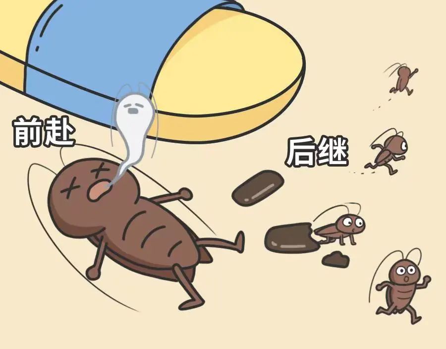蟑螂怎么彻底消灭？2招教你解决它！