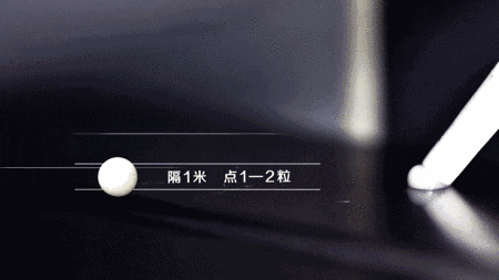 蟑螂胶饵使用技巧_灭蟑螂最有效的方法_杀蟑螂的最佳方法