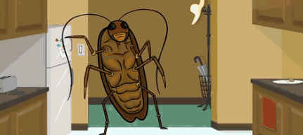 灭蟑螂最有效的方法_蟑螂胶饵使用技巧_杀蟑螂的最佳方法