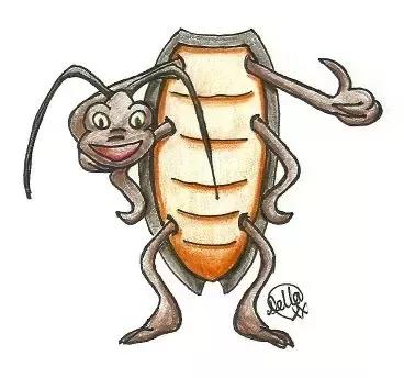 灭蟑螂最有效的方法_如何彻底消灭家里的蟑螂_蟑螂繁殖能力太强怎么办