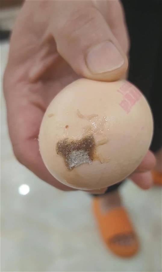 长蛆鸡蛋 山姆超市 食品安全法_大润发未开封鸡蛋面有多条活虫