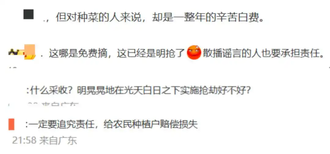 一则谣言引来数百人哄抢200亩白菜！责任谁来担？