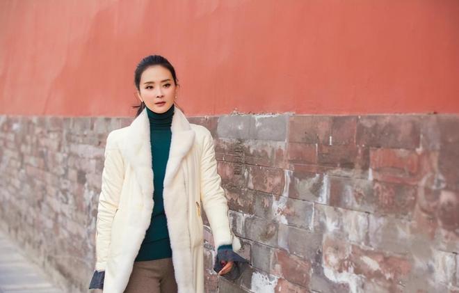 王艳 王志才_王艳 丈夫 王志才