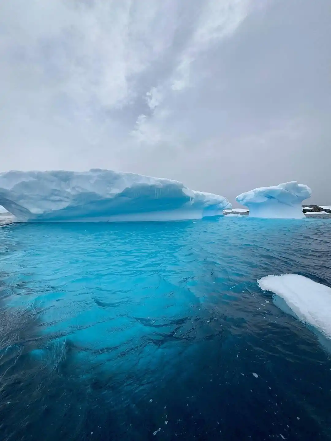 南极旅游价格_南极邮轮行程_俞敏洪南极游邮轮20天人均花费30万