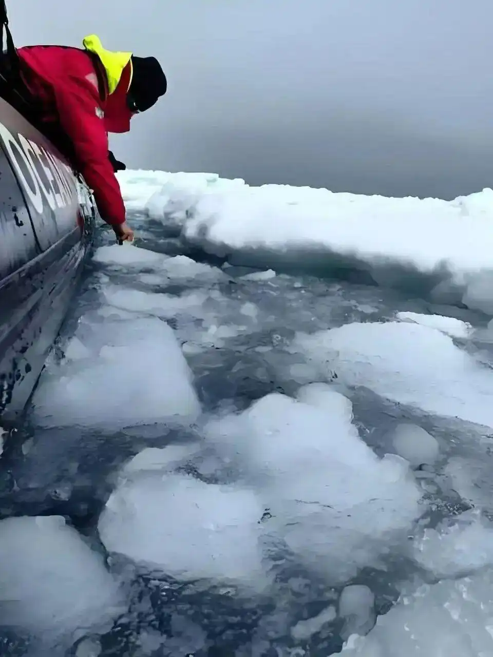 南极游网络费用_南极游价格下降_俞敏洪南极游邮轮20天人均花费30万