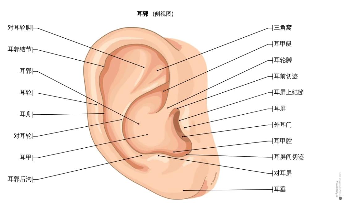 DeskMinder桌面极简提醒工具_好用的待办事项app_书籍标注管理工具