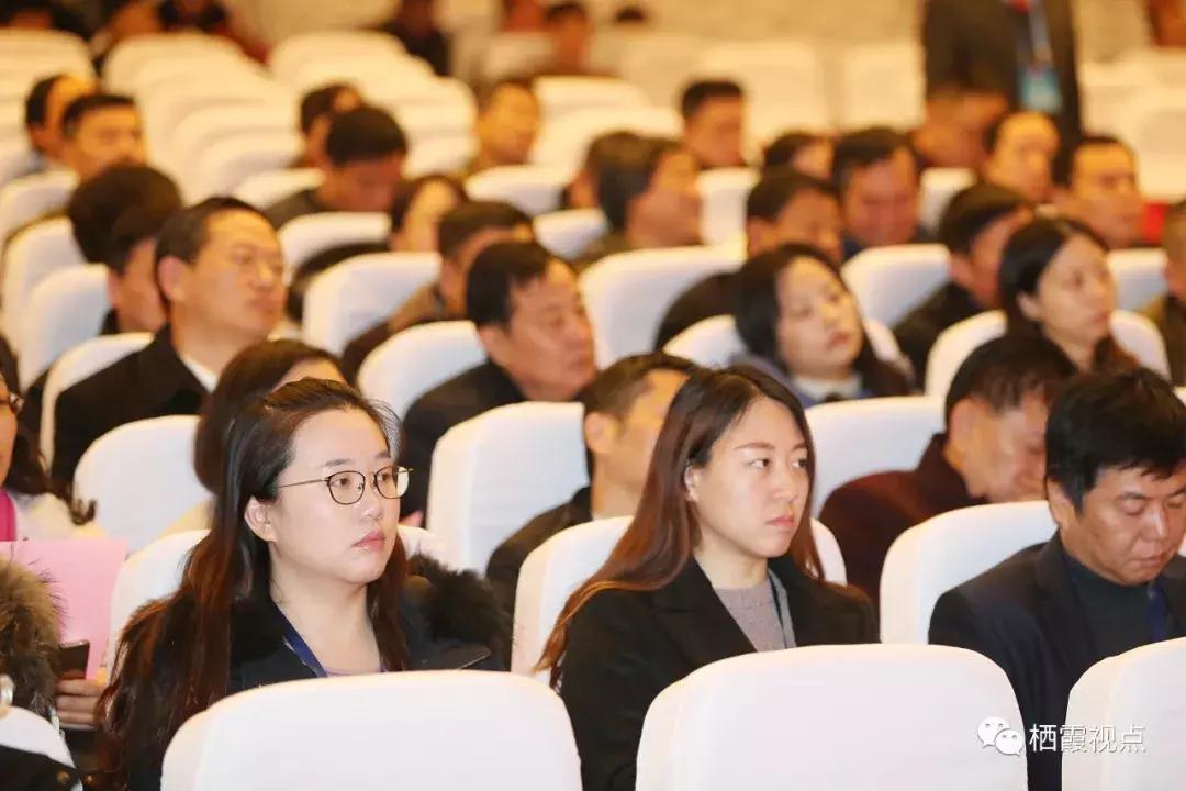 南京市栖霞区第十八届人民代表大会第三次会议_栖霞区区长王生当选_南京栖霞区区委书记