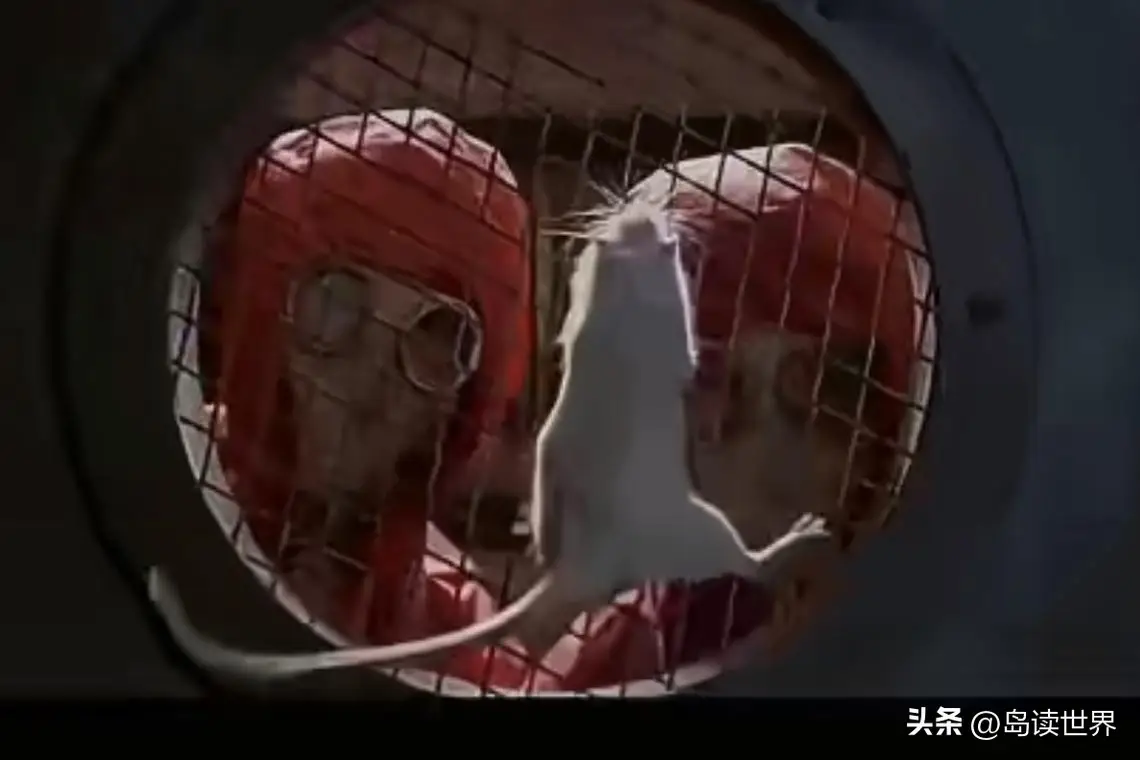 南京照相馆是否适合儿童观看_《南京照相馆》在日本专场放映_暑期电影《南京照相馆》争议