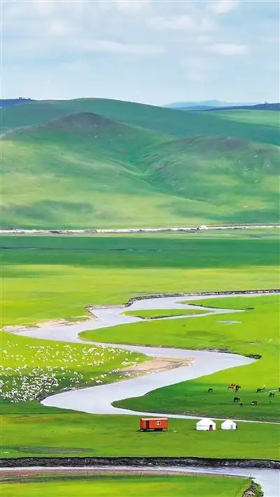 美丽中国生态文明建设成就_新时代生态文明建设成就_美丽中国铺展新画卷