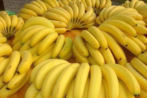 健康早餐香蕉_香蕉营养价值_香蕉女孩攻略